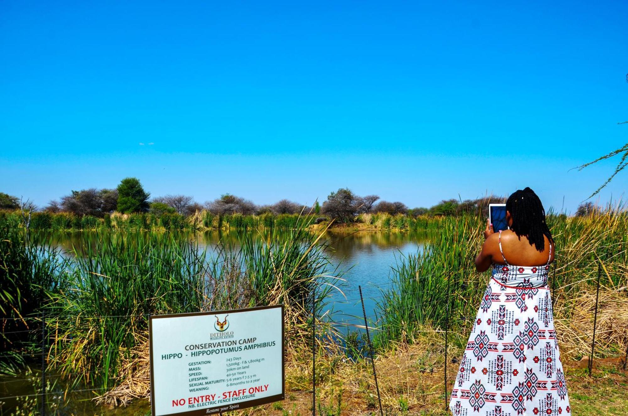 Ditholo Game Lodge Bela Bela Экстерьер фото