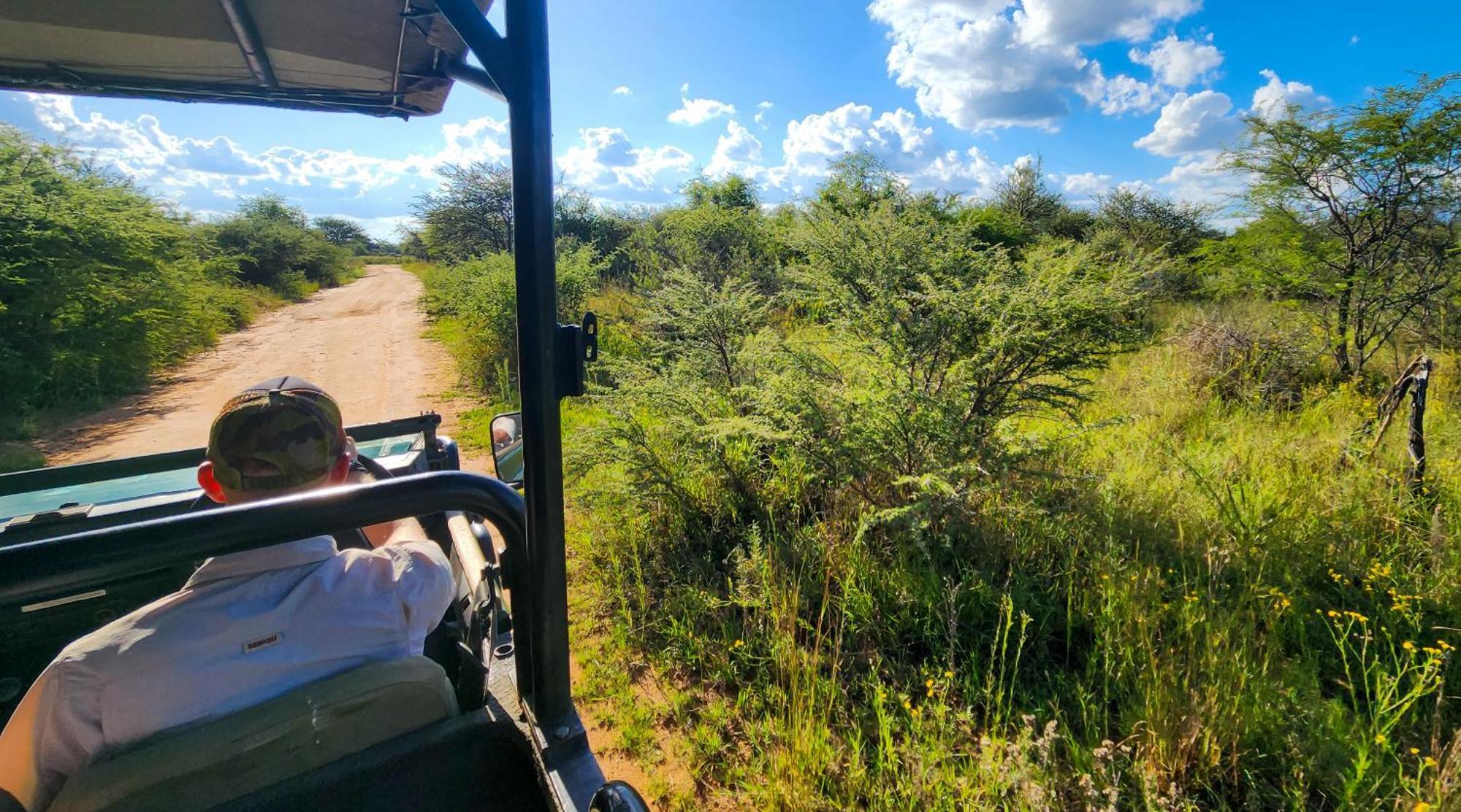 Ditholo Game Lodge Bela Bela Экстерьер фото