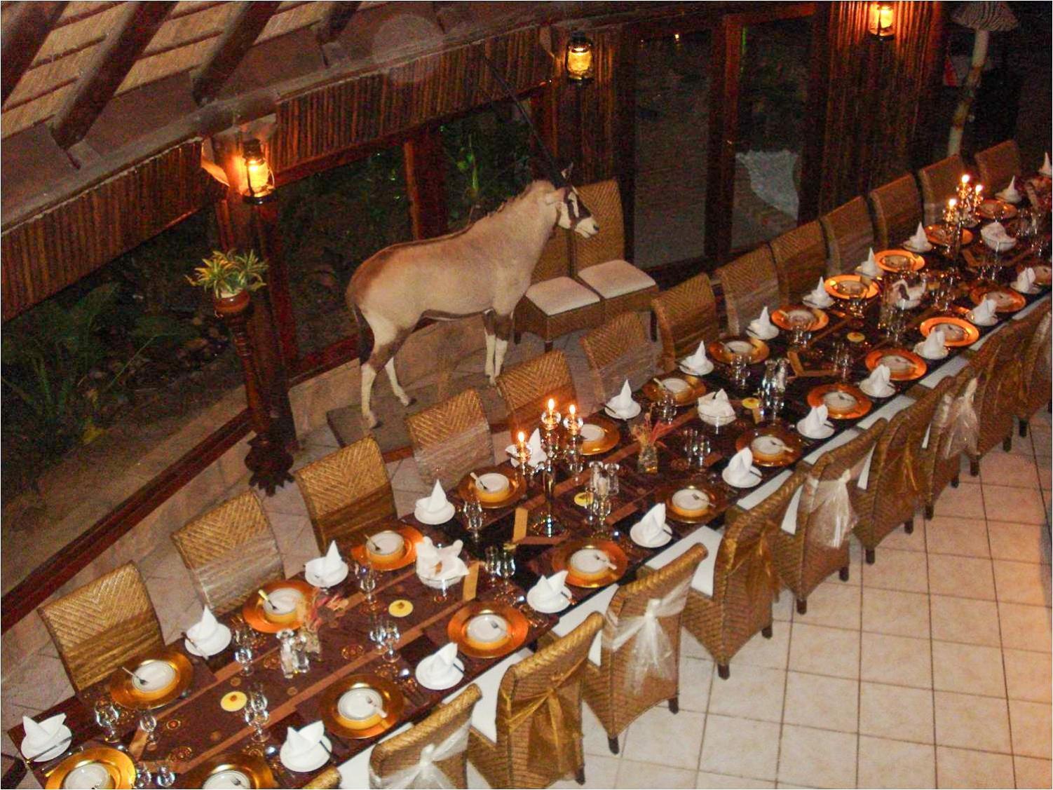 Ditholo Game Lodge Bela Bela Экстерьер фото